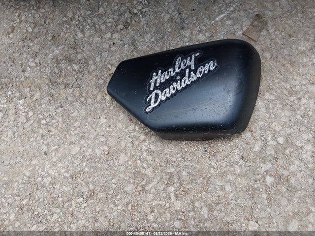 Aukcja sprzedaży 2024 Harley-davidson Rh975 S, vin: 1HD1ZF111RB300232, numer aukcji: 45408141