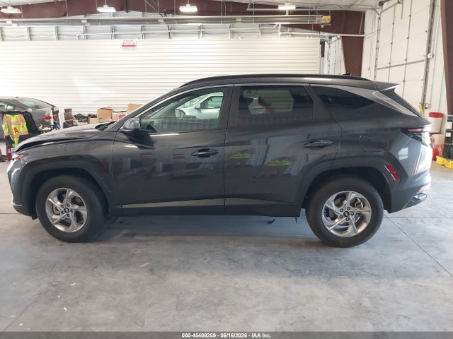 Продажа на аукционе авто 2023 Hyundai Tucson Sel, vin: 5NMJBCAE4PH250362, номер лота: 45408259