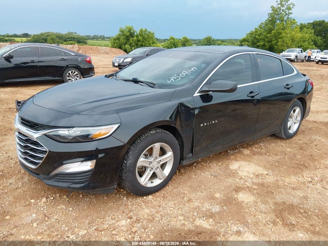 Chevrolet Malibu 1ls 2019 1G1ZB5STXKF126249 Image 2