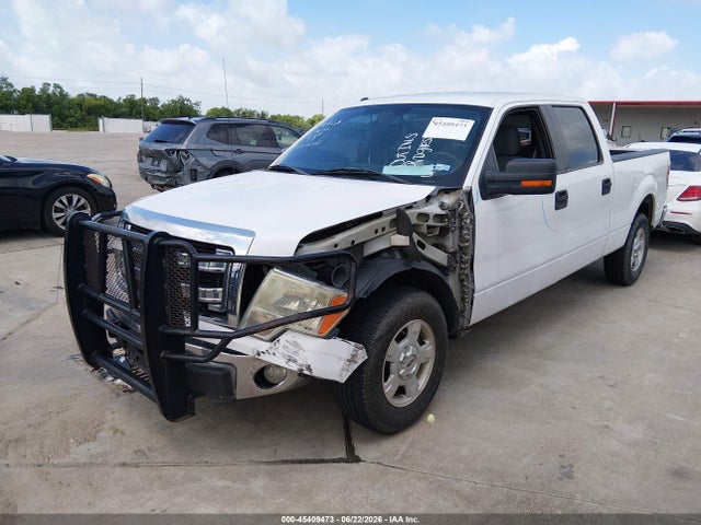 Ford F-150 Xlt 2014 1FTFW1CF3EKF56832 Image 2