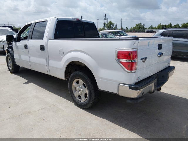 Ford F-150 Xlt 2014 1FTFW1CF3EKF56832 Image 3