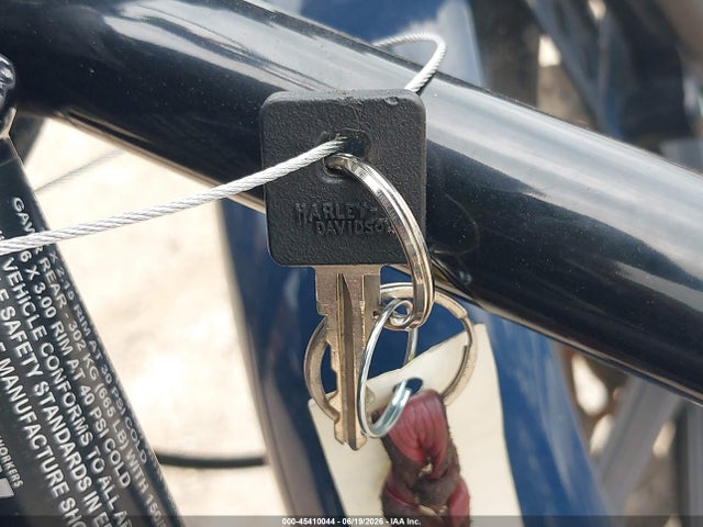 Продаж на аукціоні авто 2020 Harley-davidson Xl1200 Ns, vin: 1HD1LP312LB419600, номер лоту: 45410044