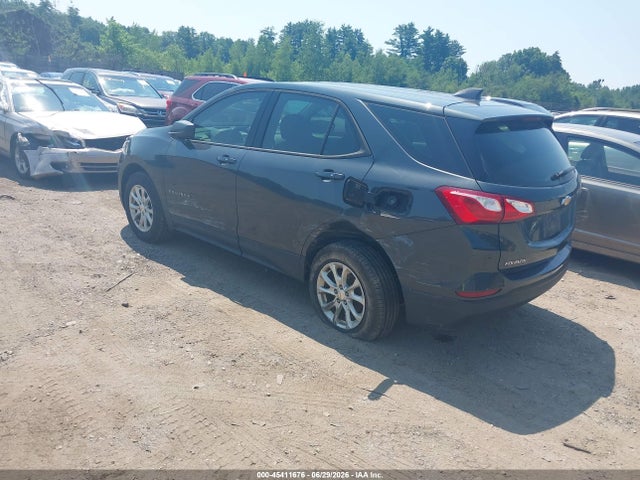 Chevrolet EQUINOX LS 2019 2GNAXSEV5K6300361 Image 3