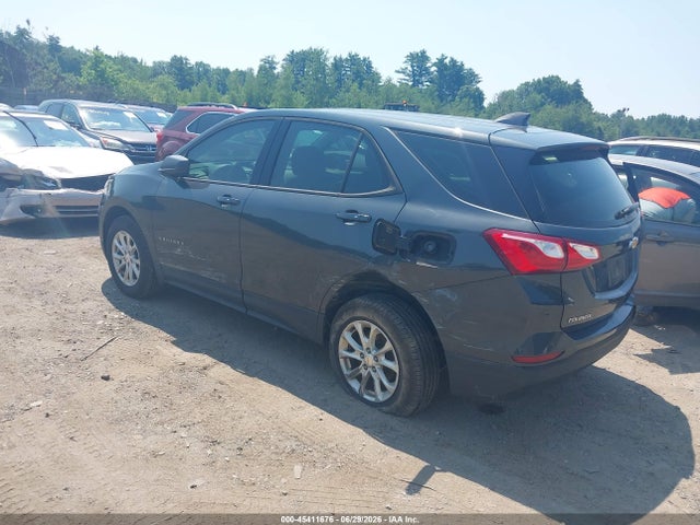 Chevrolet EQUINOX LS 2019 2GNAXSEV5K6300361 Image 6