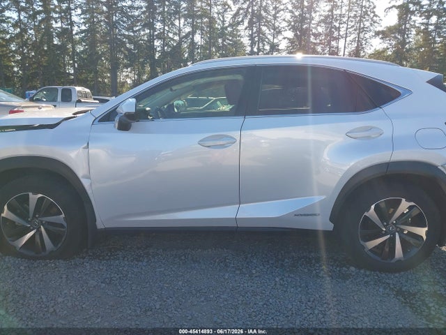 Lexus NX 300H 2020 JTJGJRDZ8L5008019 Image 13