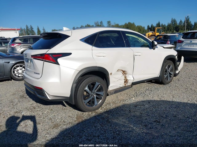 Lexus NX 300H 2020 JTJGJRDZ8L5008019 Image 4