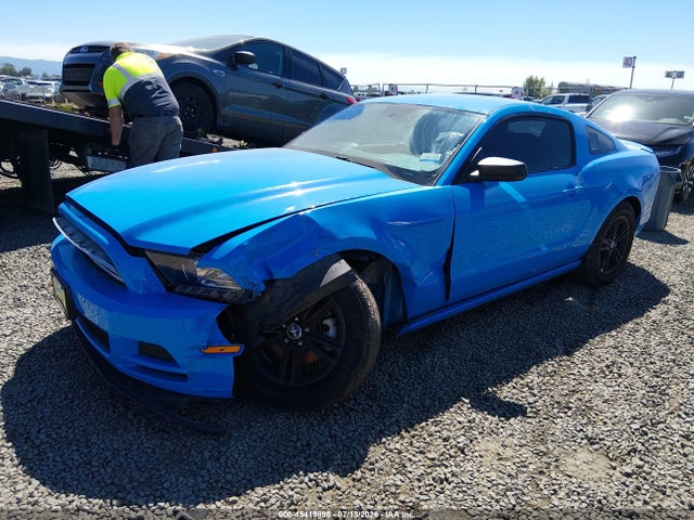 Ford Mustang V6 2014 1ZVBP8AMXE5239762 Image 2