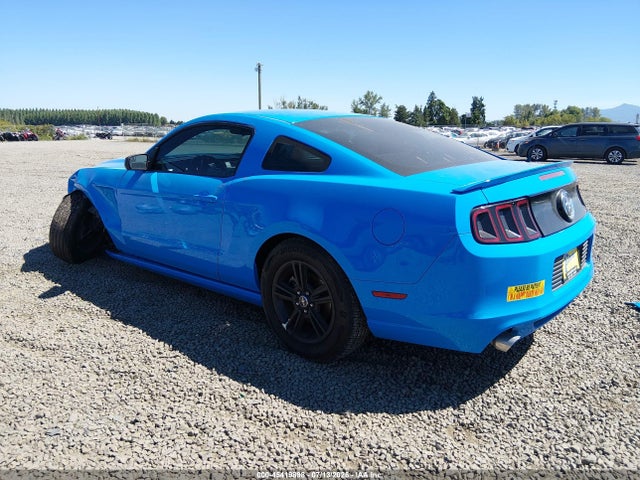 Ford Mustang V6 2014 1ZVBP8AMXE5239762 Image 3