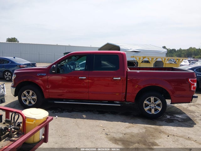 Продажа на аукционе авто 2019 Ford F-150 Xlt, vin: 1FTEW1CP3KFD41105, номер лота: 45420359