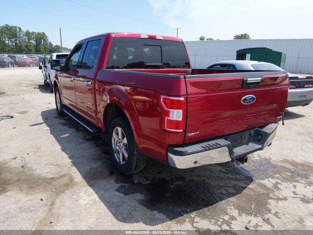 Продажа на аукционе авто 2019 Ford F-150 Xlt, vin: 1FTEW1CP3KFD41105, номер лота: 45420359