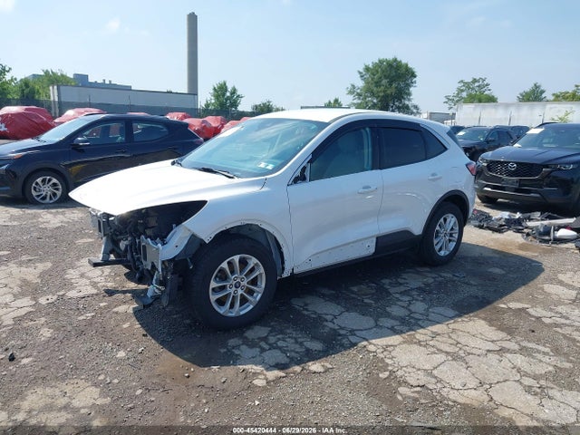 45420444 :رقم المزاد ، 1FMCU9G68LUB54982 vin ، 2020 Ford Escape Se مزاد بيع