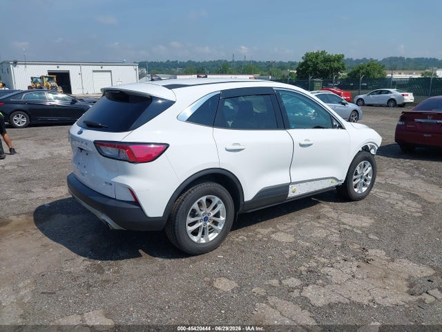 45420444 :رقم المزاد ، 1FMCU9G68LUB54982 vin ، 2020 Ford Escape Se مزاد بيع