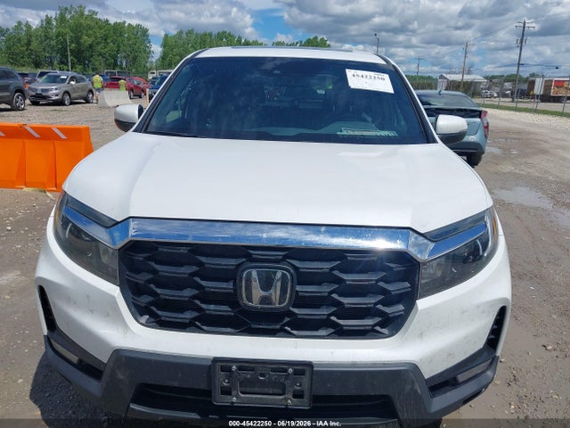 5FNYF8H59PB024597 Honda Passport Awd Ex-l