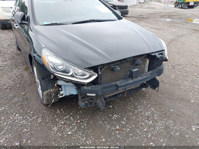 Hyundai Sonata Limited 2019 5NPE34AF1KH750665 Image 6