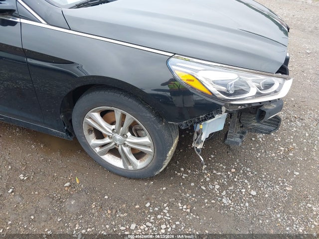 Hyundai Sonata Limited 2019 5NPE34AF1KH750665 Image 11