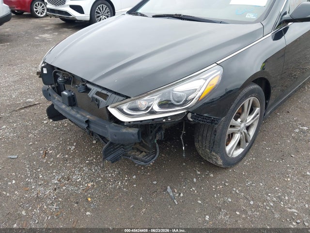 Hyundai Sonata Limited 2019 5NPE34AF1KH750665 Image 12