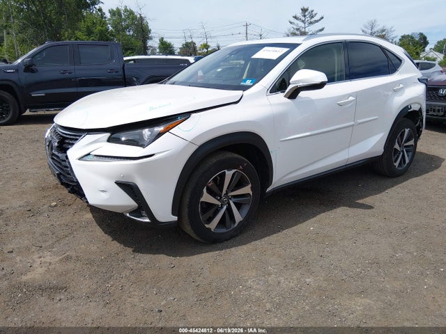 Продаж на аукціоні авто 2019 Lexus Nx 300, vin: JTJBARBZ0K2181269, номер лоту: 45424812