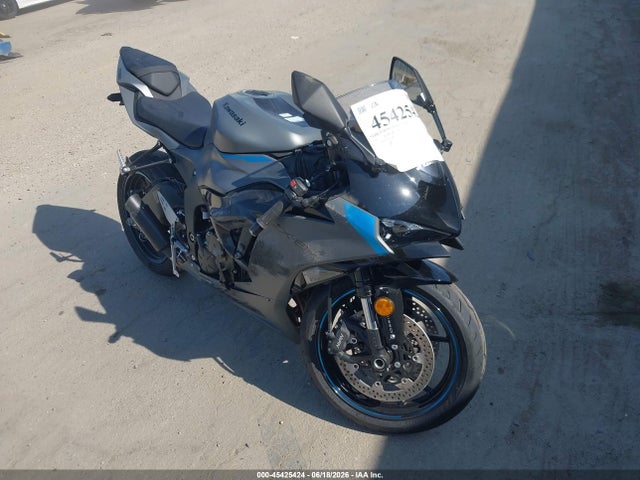 Kawasaki Zx636 K 2025 JKBZXJJ18SA030222 main image