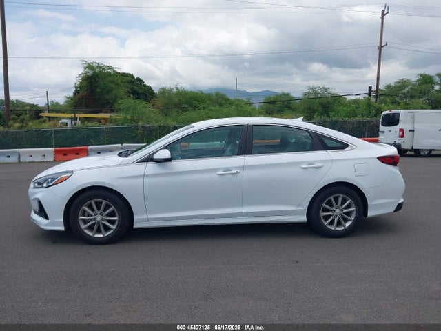 Hyundai SONATA ECO 2019 5NPE24AA1KH774911 Image 15