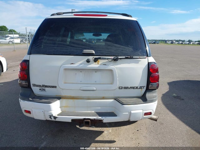 Продаж на аукціоні авто 2005 Chevrolet Trailblazer Ls, vin: 1GNDT13S452332313, номер лоту: 45427259