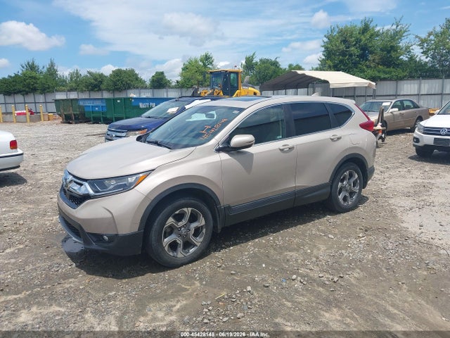 45428148 :رقم المزاد ، 2HKRW2H59KH644264 vin ، 2019 Honda Cr-v Ex مزاد بيع