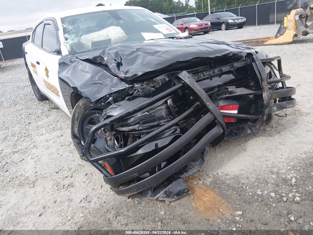 Auction sale of the 2023 Dodge Charger Police Rwd, vin: 2C3CDXAT4PH532428, lot number: 45429355