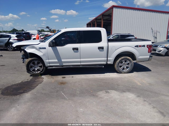 Aukcja sprzedaży 2019 Ford F-150 King Ranch/lariat/platinum/xl/xlt, vin: 1FTEW1E42KFA20983, numer aukcji: 45429679