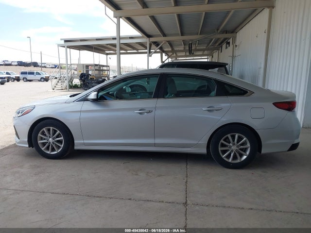 5NPE24AA9KH803300 Hyundai SONATA ECO