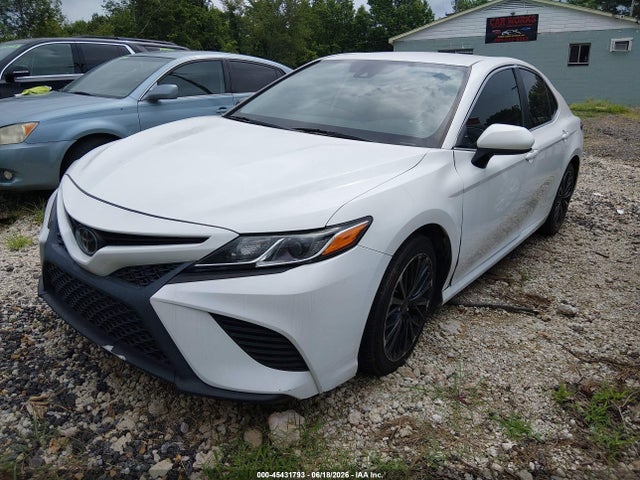 45431793 :رقم المزاد ، 4T1G11AK9LU360331 vin ، 2020 Toyota Camry Se مزاد بيع