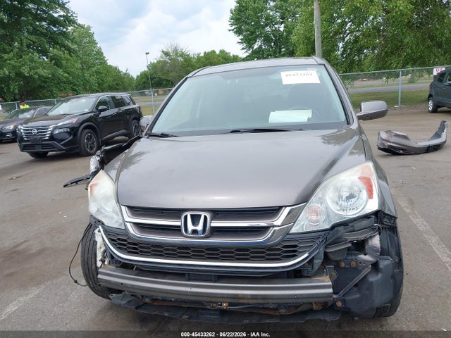 Продаж на аукціоні авто 2010 Honda Cr-v Ex-l, vin: 5J6RE4H75AL055085, номер лоту: 45433262