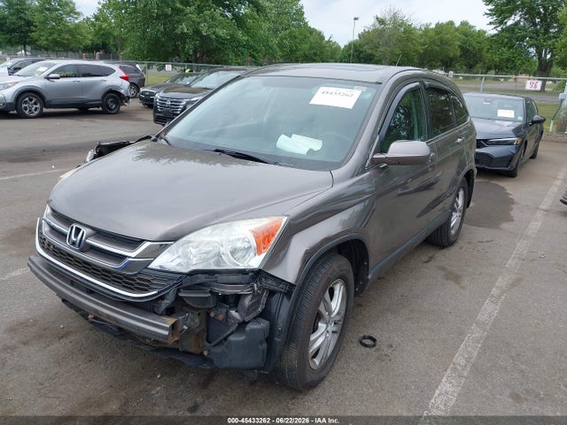 Продаж на аукціоні авто 2010 Honda Cr-v Ex-l, vin: 5J6RE4H75AL055085, номер лоту: 45433262
