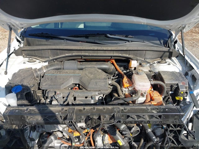 KNDRMDLG0P5130594 KIA Sorento Hybrid Sx Prestige