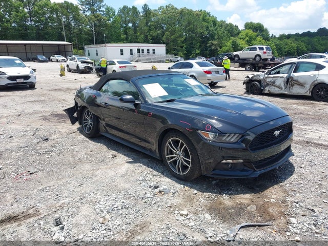 2017 1FATP8UH5H5293504 main image