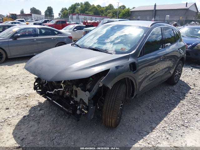 Auction sale of the 2024 Ford Escape Phev, vin: 1FMCU0E13RUB04180, lot number: 45436424