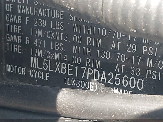 Kawasaki Klx300 E 2023 ML5LXBE17PDA25600 Image 10