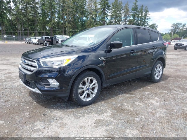 Ford ESCAPE SE 2017 1FMCU9GD2HUE50313 Image 2