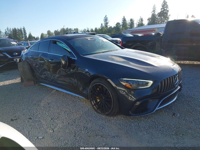 Mercedes-Benz Amg Gt 63 4-door Coupe S 2019 WDD7X8KB9KA005398 главное изображение