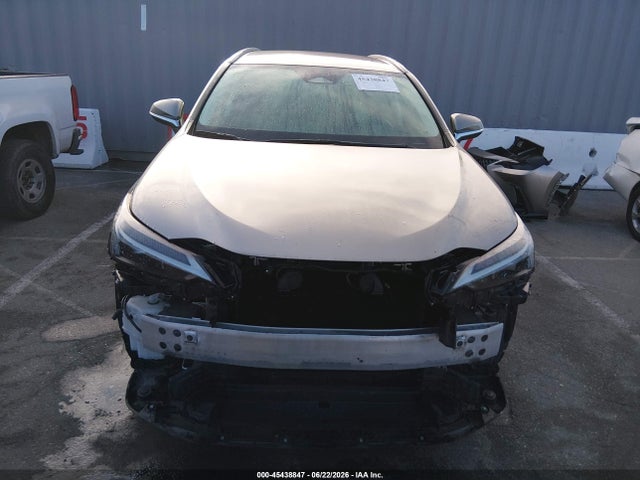 45438847 :رقم المزاد ، 2T2ADCAZ7PC003240 vin ، 2023 Lexus Nx 250 مزاد بيع