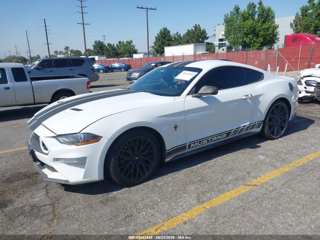 Ford Mustang Ecoboost 2018 1FA6P8TH1J5105047 Image 2