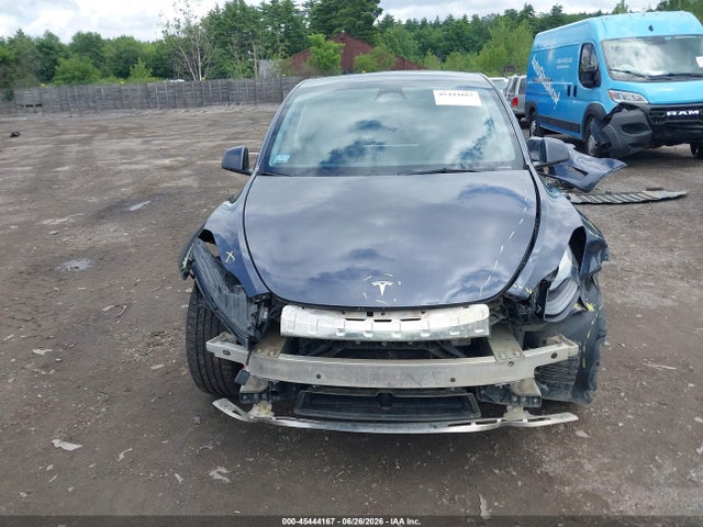 Продаж на аукціоні авто 2023 Tesla Model Y, vin: 7SAYGDEE3PF904059, номер лоту: 45444167