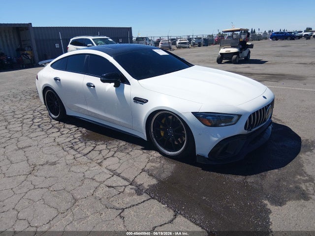 Mercedes-Benz Amg Gt 63 4-door Coupe 2019 WDD7X8JB2KA006670 главное изображение