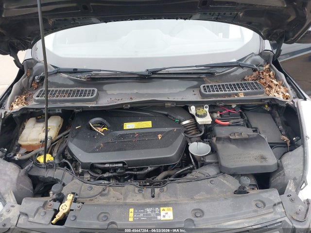 Auction sale of the 2013 Ford Escape Se, vin: 1FMCU0GX0DUB69904, lot number: 45447284