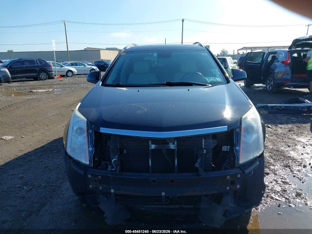 Продаж на аукціоні авто 2010 Cadillac Srx Premium Collection, vin: 3GYFNFEY6AS549137, номер лоту: 45451240