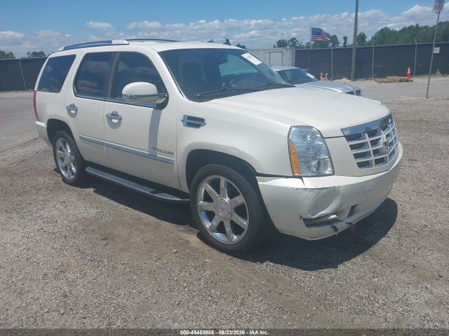 2010 Cadillac Escalade Luxury მანქანა იყიდება აუქციონზე, vin: 1GYUCBEF9AR250166, აუქციონის ნომერი: 45453905