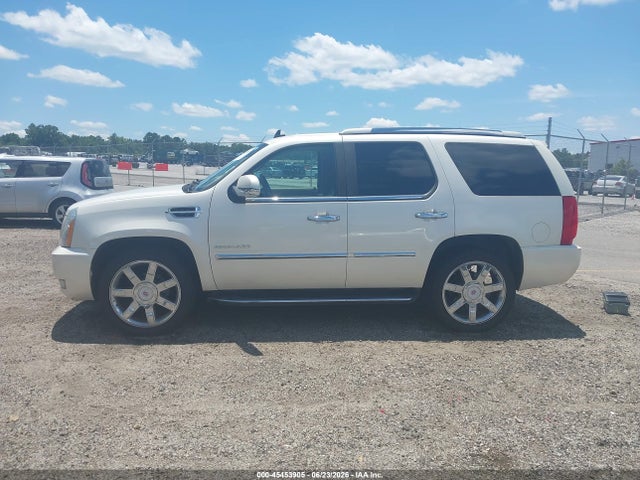 Продажа на аукционе авто 2010 Cadillac Escalade Luxury, vin: 1GYUCBEF9AR250166, номер лота: 45453905