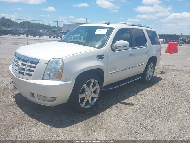 Продажа на аукционе авто 2010 Cadillac Escalade Luxury, vin: 1GYUCBEF9AR250166, номер лота: 45453905