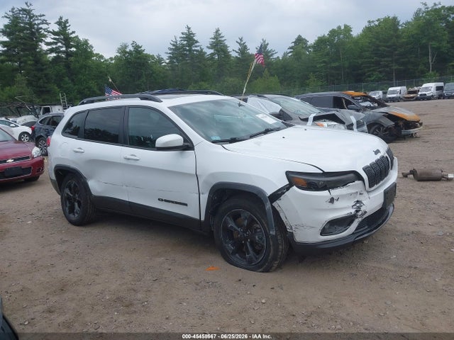 Jeep Cherokee Altitude 4x4 2019 1C4PJMLB8KD391247 Image 1