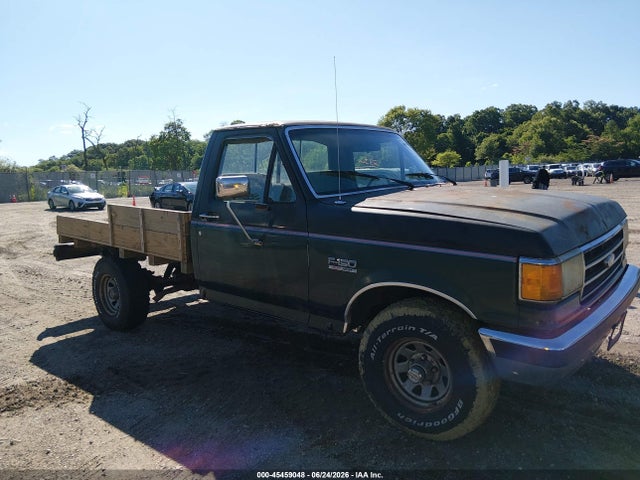 Aukcja sprzedaży 1991 Ford F150, vin: 1FTEF14N1MNA18516, numer aukcji: 45459048