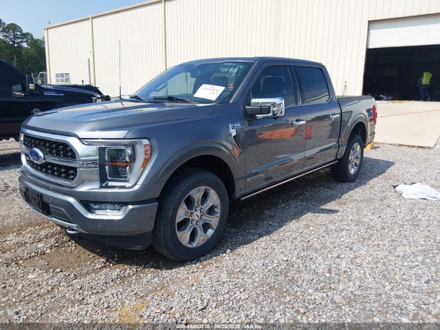 Ford F-150 Platinum 2023 1FTFW1ED3PFC15647 Image 2
