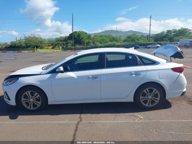 Hyundai SONATA SEL 2019 5NPE34AF2KH789314 Image 14